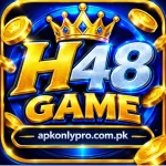 H48 Game