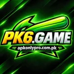 pk6 game